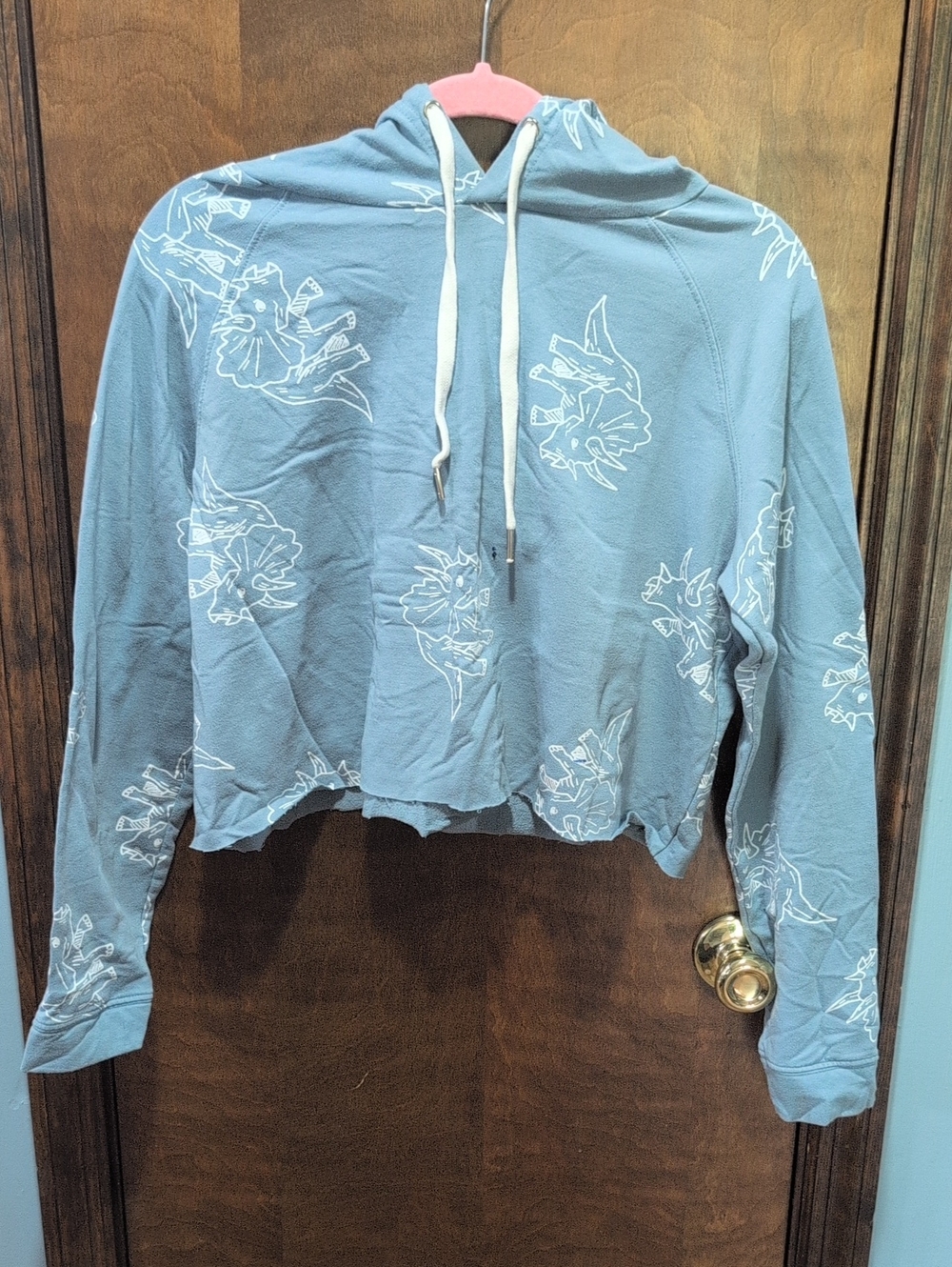 Light Blue Cropped Hoodie with Dinosaur Print - Women Tops